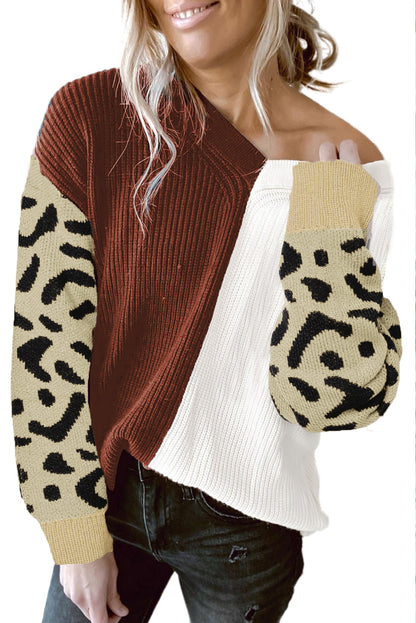 Print Contrast Color V Neck Sweater